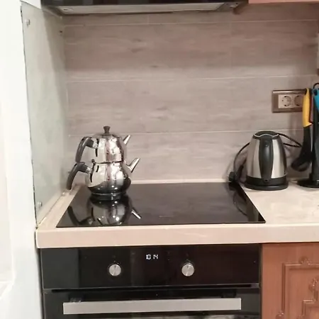 Aslan Apartament *
