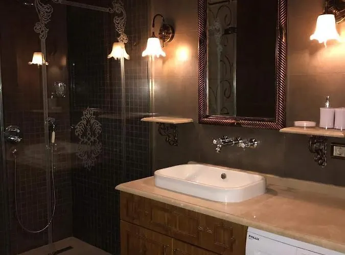 Aslan Стамбул