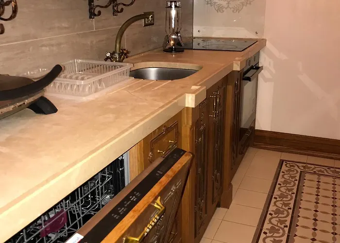 Aslan * Стамбул