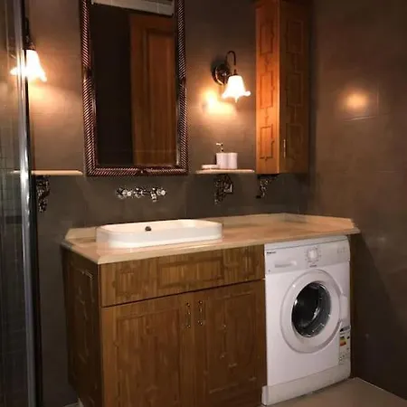 Aslan Provincia di Istanbul