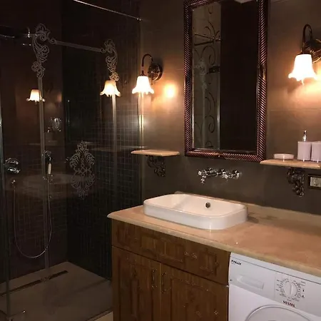 Aslan Provincia di Istanbul