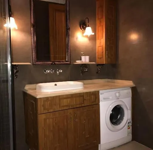 Aslan Istanbulská provincie